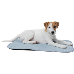 Tapis rafraîchissant pour chiot