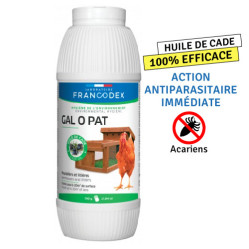 Gal O Pat pour Poule