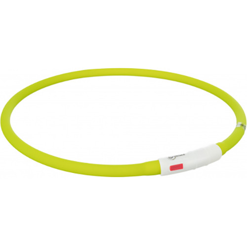 Collier Life USB Flash lumineux Vert