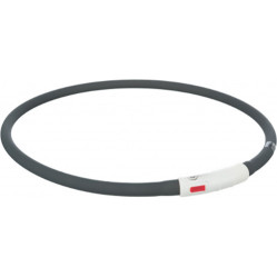 Collier Life USB Flash lumineux Gris