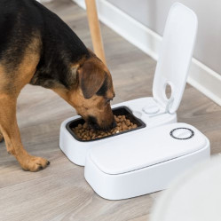 Distributeur automatique croquettes TX2