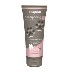 Shampoing Thé Blanc Chat & Chaton