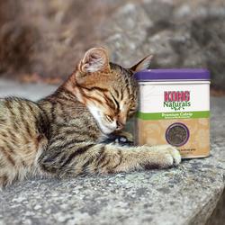 Catnip garden® herbe à chat naturelle en sachet — Boutiques d'animaux Chico