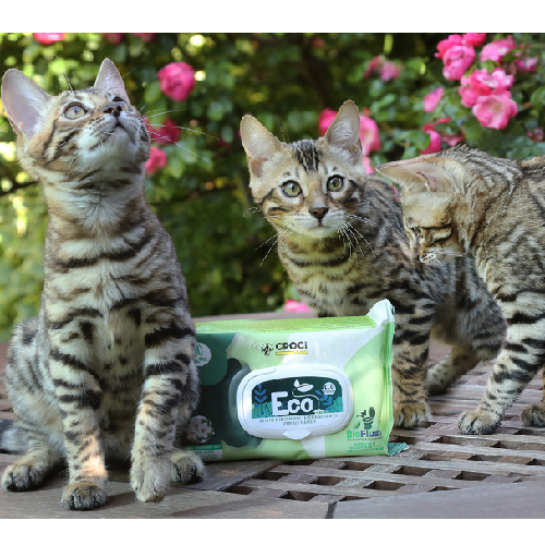 Lingettes nettoyantes Ecosoin Bio pour chien et chat