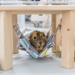 Cabane avec hamac pour Cochon d'Inde & Lapin Nain