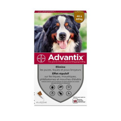 Pipette Advantix anti puce très grand chien