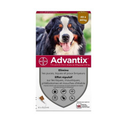 Pipette Advantix anti puce très grand chien