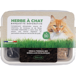 Barquette herbe à chat bio 300g