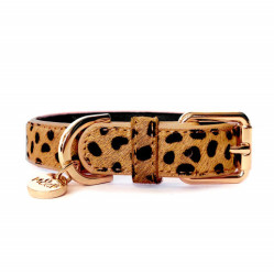 Collier luxe, original, chien en cuir camel
