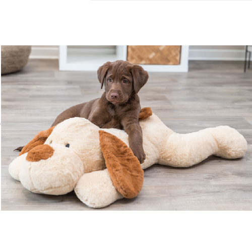 Grosse peluche pour chien - Animabassin
