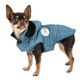 Fashion manteau chihuahua