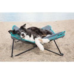 Lit de camp pliable, surélevé pour chien