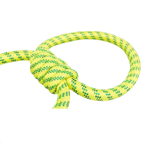 Acheter Corde tactique en Nylon à double poignée pour chien + corde de  Traction réfléchissante antidéflagrante + corde élastique extensible pour  chien de marche en plein air