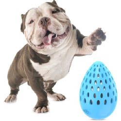 Jouet pour chien indestructible : Balle en forme d’œuf, bruit bouteille taille l