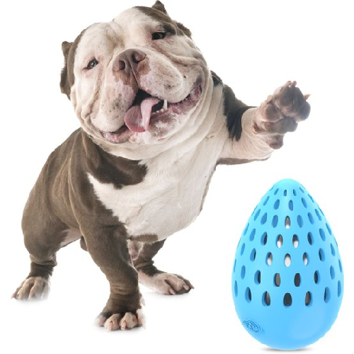 Jouet pour chien indestructible : Balle en forme d’œuf, bruit bouteille  taille l
