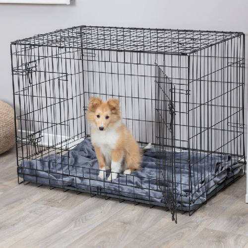 Cage de transport pour chien, sac de transport pour chien