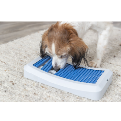 Jeu d’occupation chien, stimulation intelligence