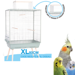 Cage perruche : Sur pied XL, Perruche ondulée