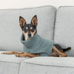 Meilleur Pull pour chien : Berlin Sauge
