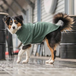 Sweat pour chien : Intérieur chauffant, Confort, Amsterdam