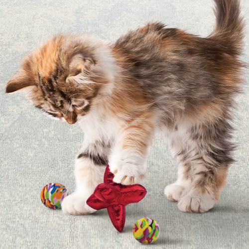 Souris pour chat : une multitude de jouets délirants !