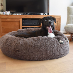 Coussin apaisant chien chat Donut Poilu - VISON