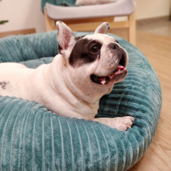 Donut Hygge anti stress - VERT AQUA