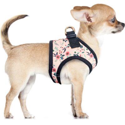 Harnais motif fleuri rose ADELAIDE pour petit chien