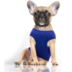 T-shirt Spécial bouledogue Ancre bleu NOAN