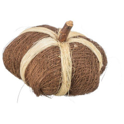 Jouet a ronger noix de coco citrouille pour rongeur