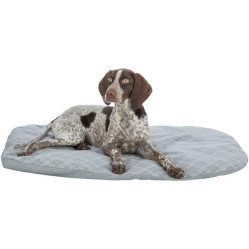 Coussin pour panier Jessie, taille XXL