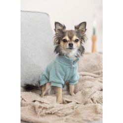 Sweat pour chien Littleton