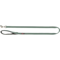 Laisse Premium pour chien Sauge