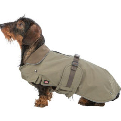 Manteau teckel : coupe spéciale hermy vert olive