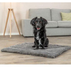 Matelas Lonni pour Chien : Confort, Douillet et Style Moderne