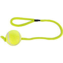 Lanceur de balle sport pour chien