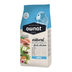 Croquettes chiot classic junior