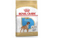 Royal canin boxer