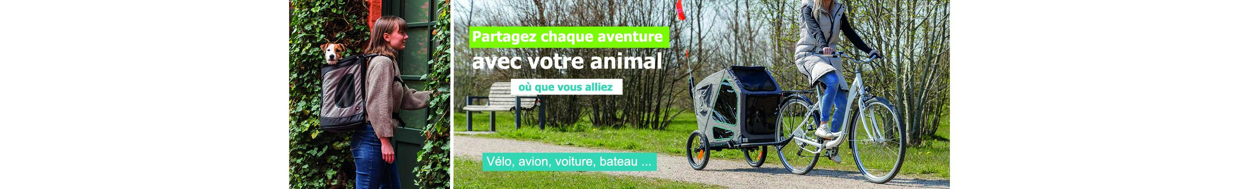 Promotion en cours animalerie en ligne Auberdog