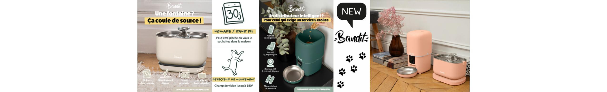 Promotion en cours animalerie en ligne Auberdog