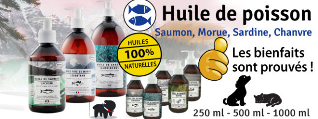 Promotion animalerie en ligne Auberdog