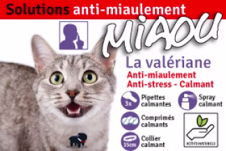 Miaulement, chat qui miaule la nuit, tout le temps, stop !