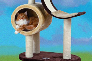 Arbre à chat, griffoir, pour chat d'appartement