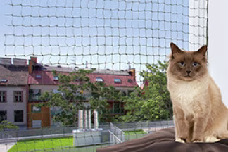 Filet de protection chat, fenêtre, balcon : mode d’emploi