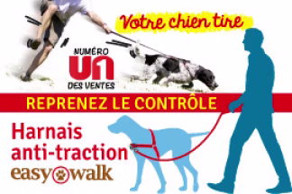 Harnais anti traction : harnais pour chien qui tire