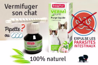 Vermifuge pour chat, pipette ou comprimé ? Nos conseils !