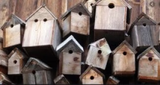 Fabriquer un nichoir pour mésange, diamètre trou du nichoir !
