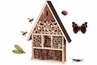 Hôtel à Insecte : avantages, fonctionnement, utilisation et matériaux