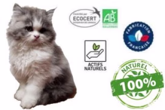 Vermifuge chaton ! à quel âge vermifuger un chaton ?