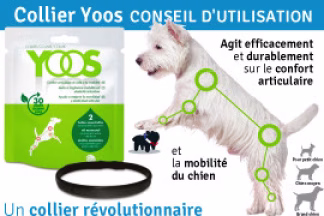Collier Yoos : Aux Huiles Essentielles contre l'Arthrose !